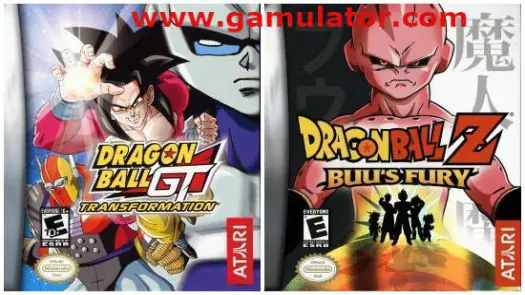 2 in 1 - DBZ - Buu's Fury & DBGT - Transformation game